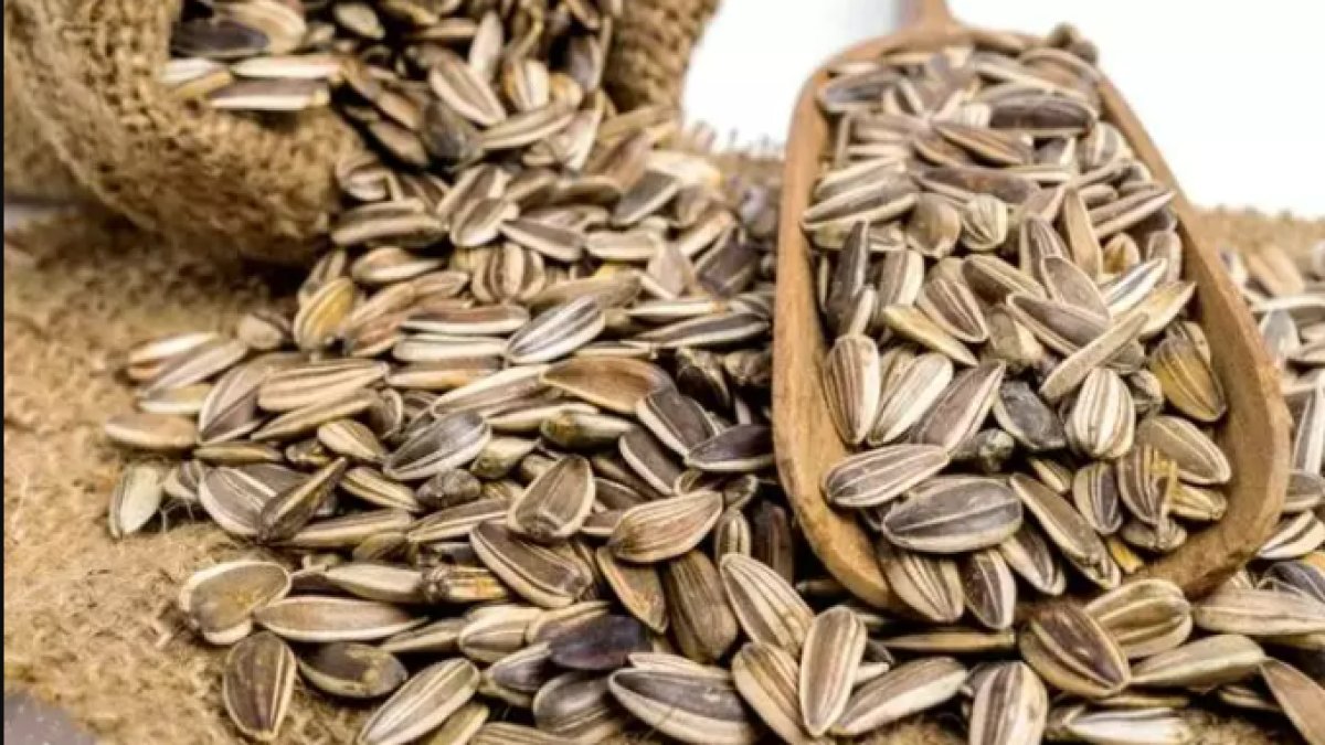 Rüyada Çekirdek Görmek: Türk Kültüründe Rüya Yorumları