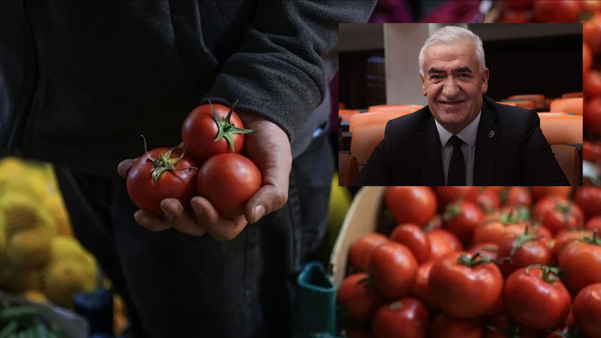 MHP'li vekilden emekliye geçim tavsiyesi: Domates satsınlar