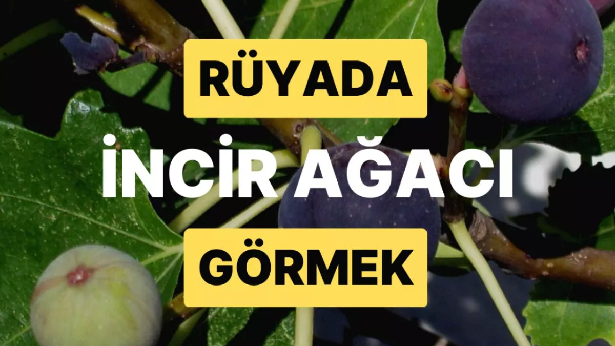 Rüyada İncir Ağacı Görmek: Rüya Tabirinde Anlamları ve Yorumları