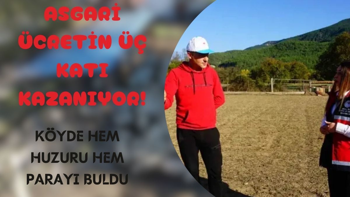 Asgari ücretten bıkıp köyüne döndü, şimdi para içinde yüzüyor! Devlet desteğiyle Ankara’daki gelirini üçe katladı