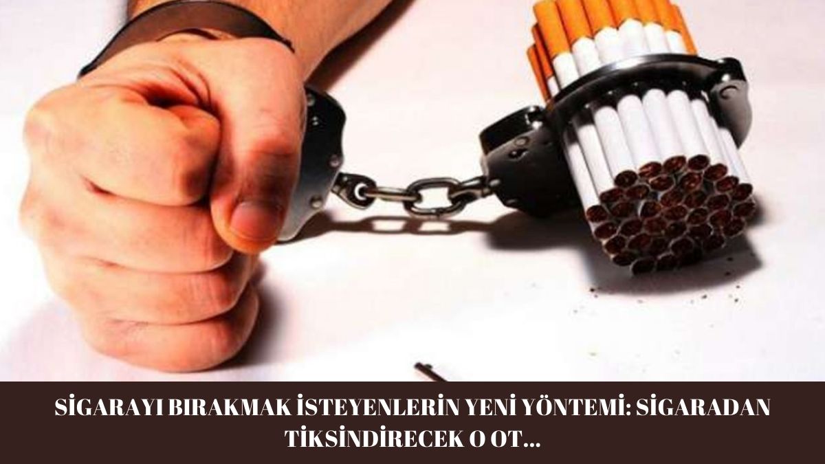 Sigarayı bırakmak isteyenlerin yeni kaçış yolu! Tiryakilerin ihtiyacını en aza indiriyor: Sigarayı bırakmak bunla çok daha kolay