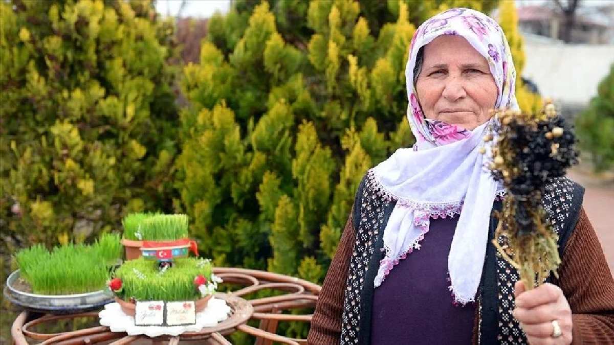 Asırlardır uygulanan gelenek ‘Semeni’! Her yıl 21 Mart’ta başlıyor, Türkiye’ye müjde getiriyor! 2500 TL’den satılıyor