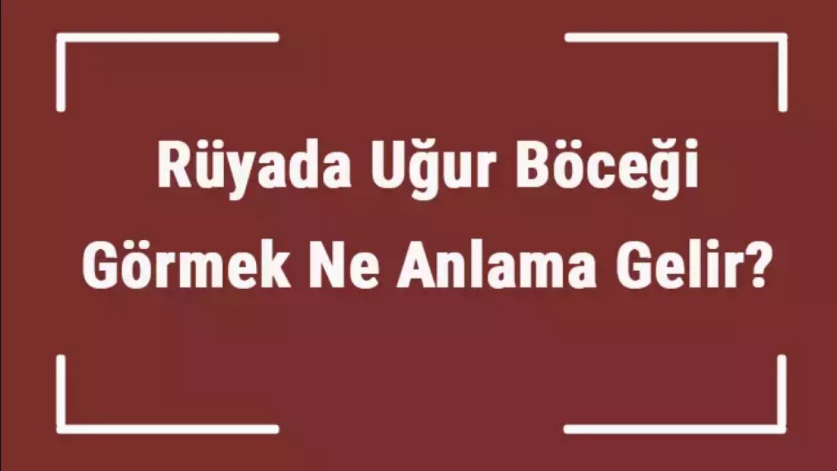 Rüyada Uğur Böceği Görmek