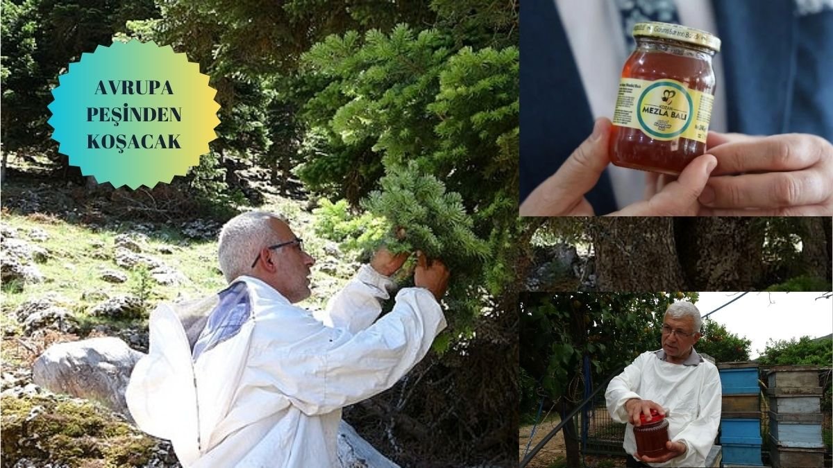 Türkiye'de sadece Adana'da var! Her kaşığı akciğer hastalıklarına şifa: Mezla balını şimdi Avrupalılar da öğrenecek