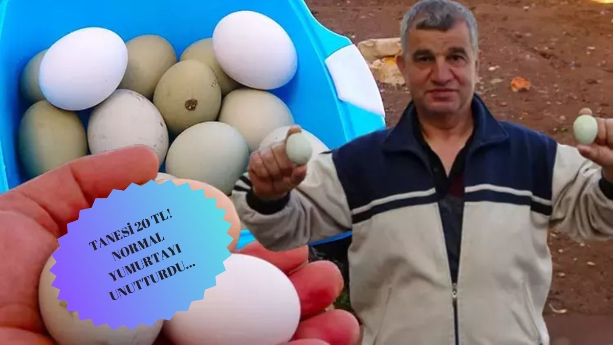 Bu yumurtanın bir tanesi 20 liraya satılıyor! Özelliği ise yeşil olması, normal yumurtadan kat kat faydası var