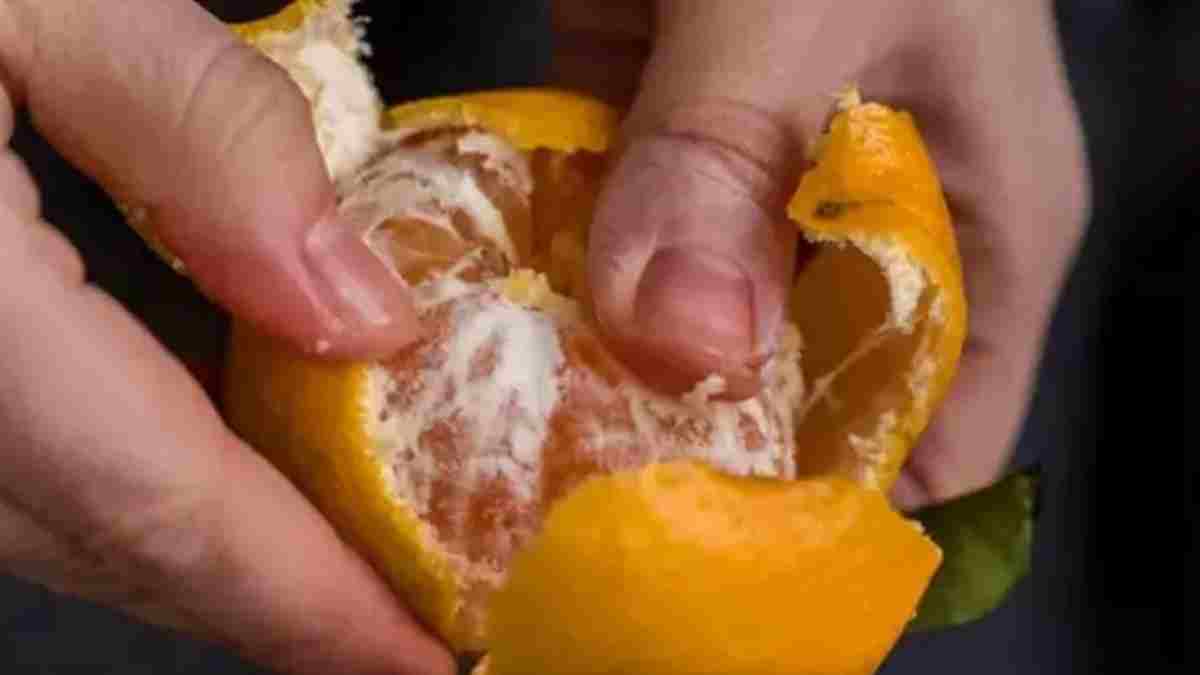 Mandalina kadar kabuğu da faydalıymış! Bu bilgiden sonra bir daha çöpe atmayacaksınız: Resmen hayat kurtarıyor