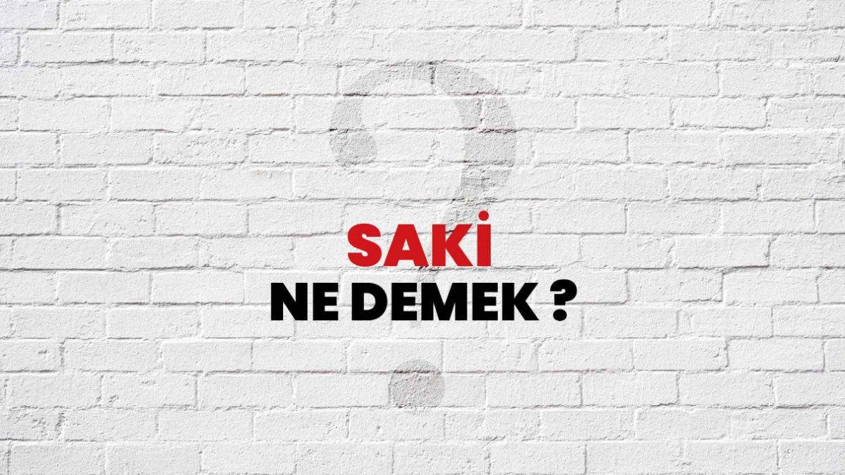 Saki Ne Demek?