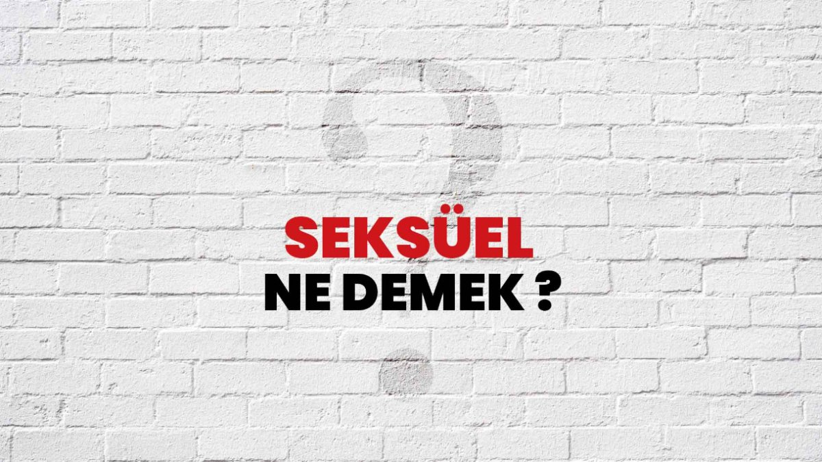 Seksüel Ne Demek: Cinsel Kimlik ve Terimlerin Anlamı