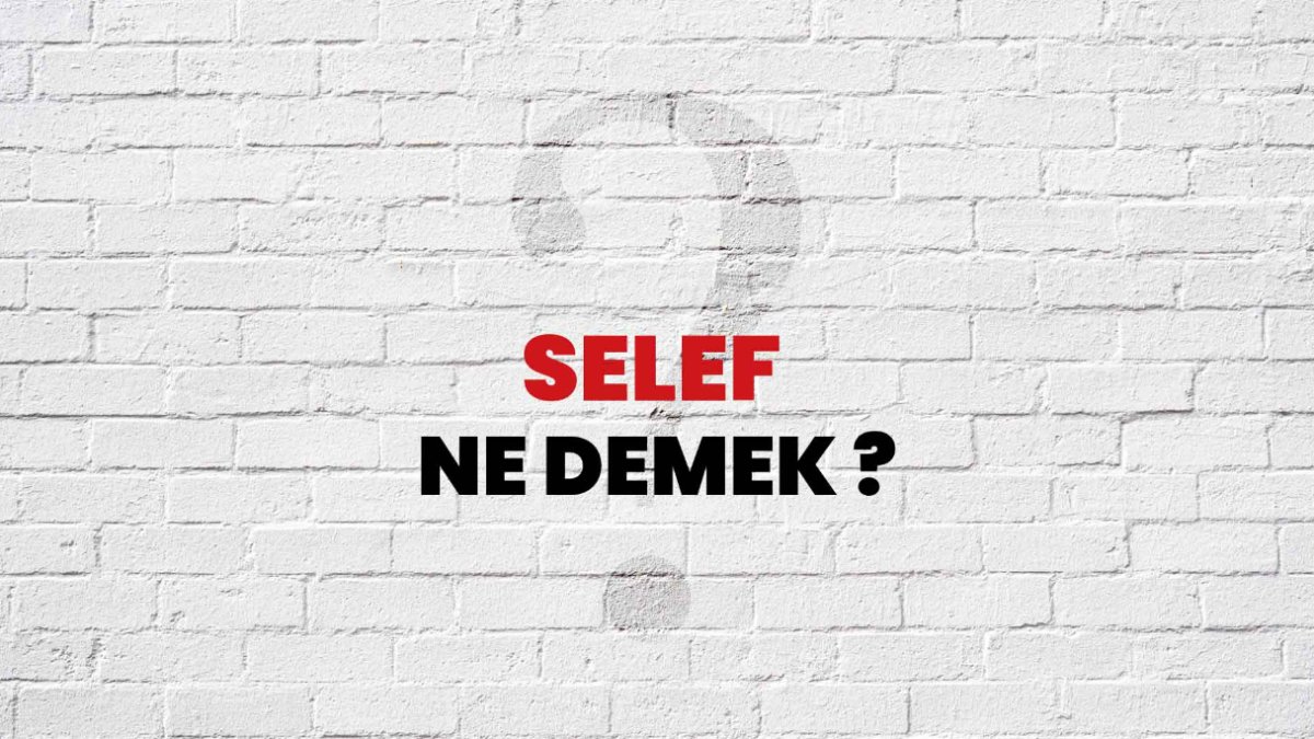 Selef Nedir?