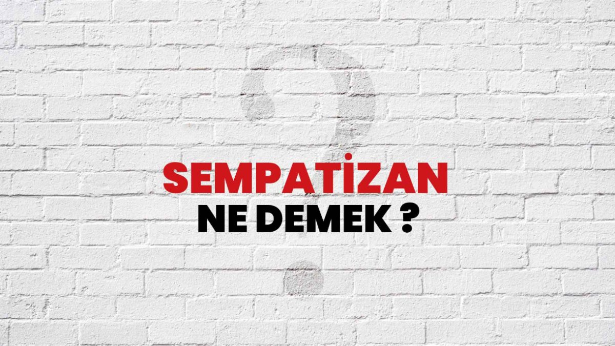 Sempatizan Ne Demek?