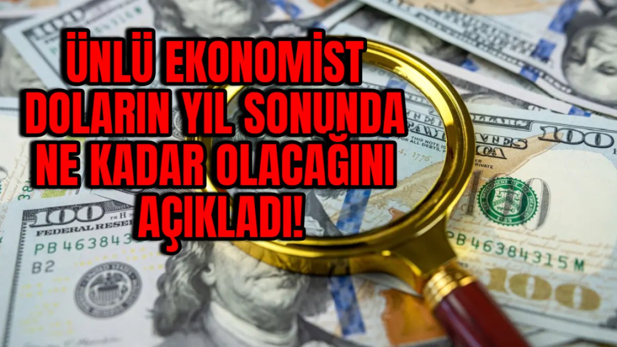 Dolar sahipleri yıl sonunda o rakamı görmeye hazır olun! Ünlü ekonomist ...