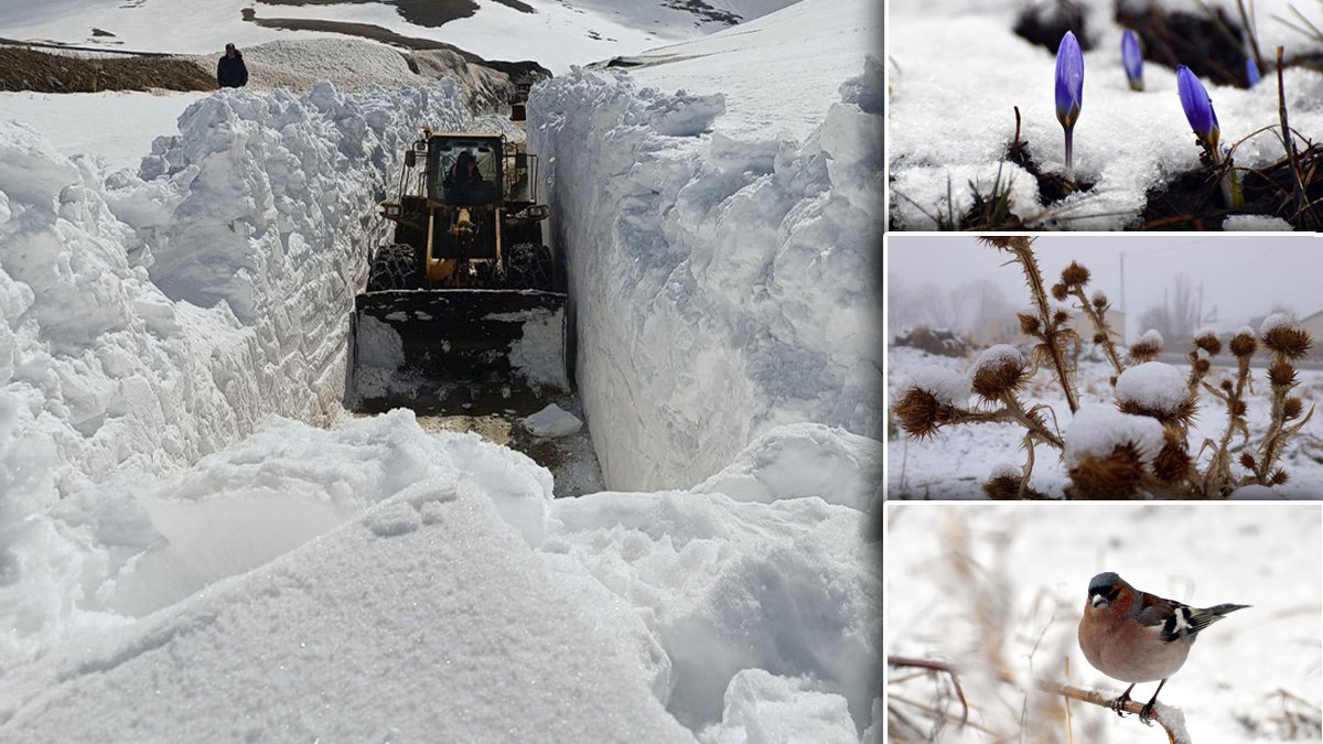 Kars'a nisanda kar sürprizi: Kar kalınlığı yer yer 5 metreyi buldu
