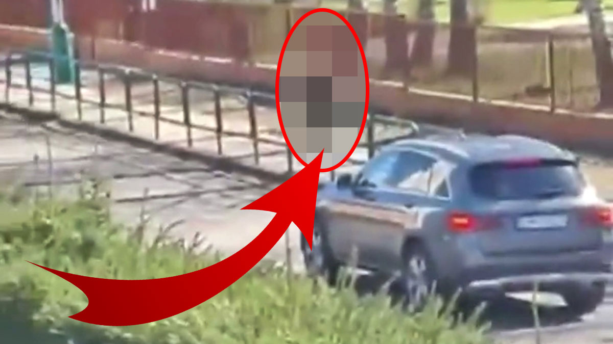 Kent merkezinde hayasızca dolaşıyorlar: 2 yaralı! Ellerini kollarını sallaya sallaya geziyorlar