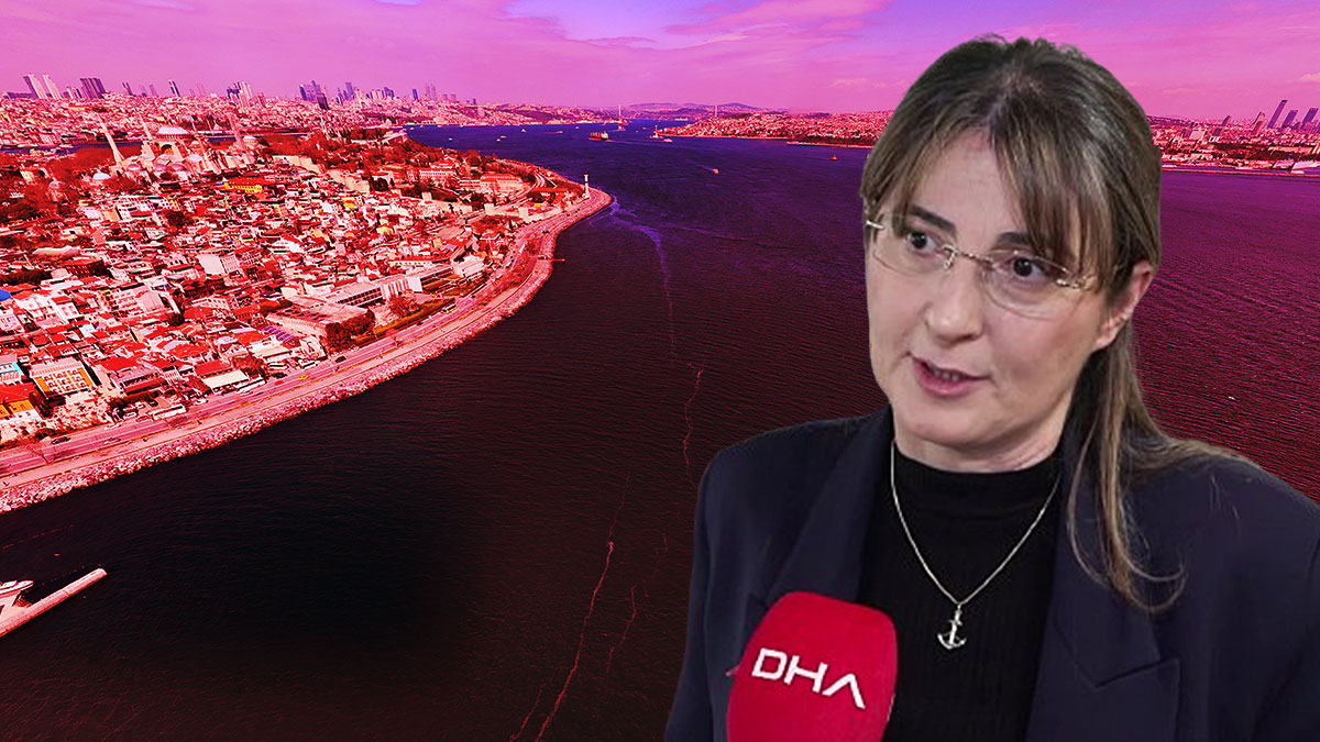 Marmara'nın kabusu geri dönüyor: Isı yükseldi, popülasyon arttı! Uzmanından çarpıcı uyarılar