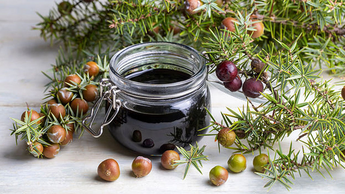 Bu pekmez, kan yapan hücreleri artırıyor, demir eksikliğini gideriyor! Canan Karatay ve İbrahim Saraçoğlu öneriyor