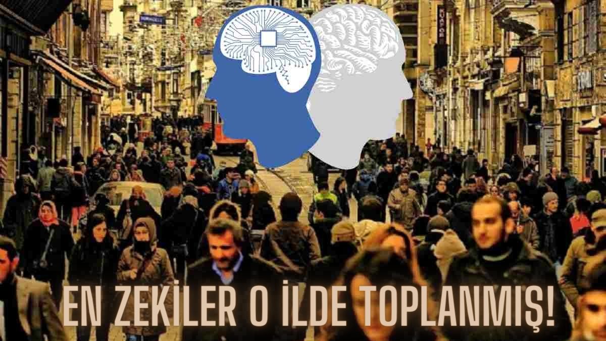 Türkiye'nin en zeki illeri belli oldu: IQ'ları Einstein ile yarışıyor! En zeki kişiler resmen o ilde toplanmış