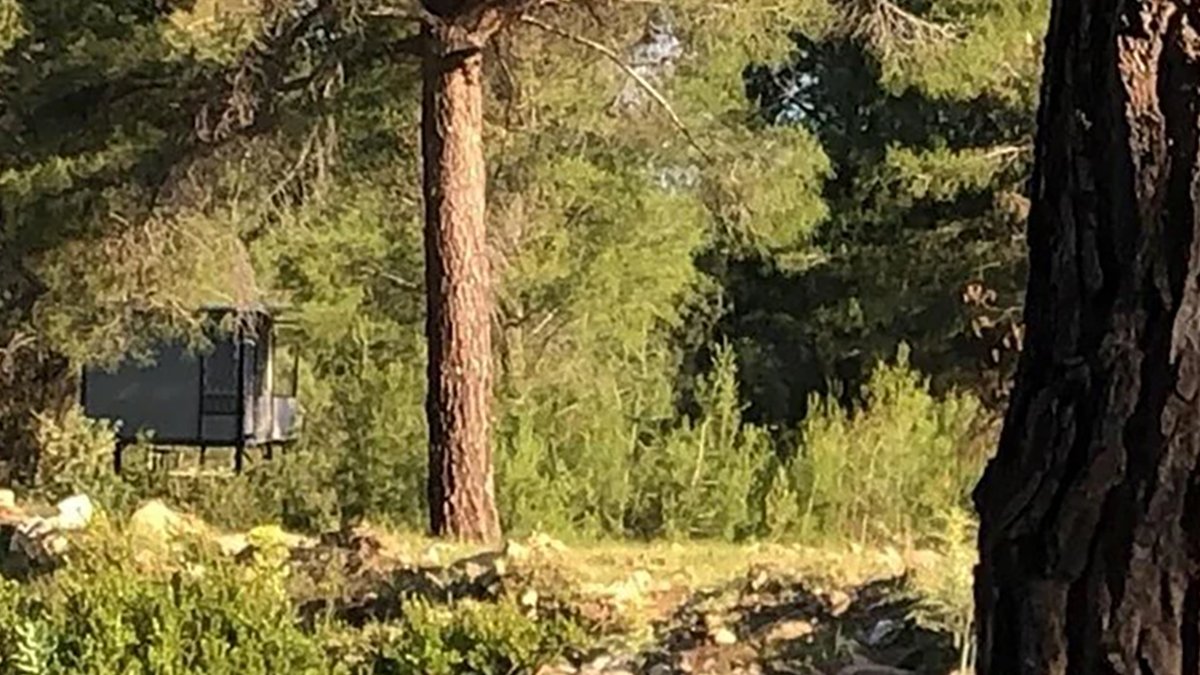 Bağ evinde kadın cinayeti: Boşanmak isteyen eşini katledip intihar etti