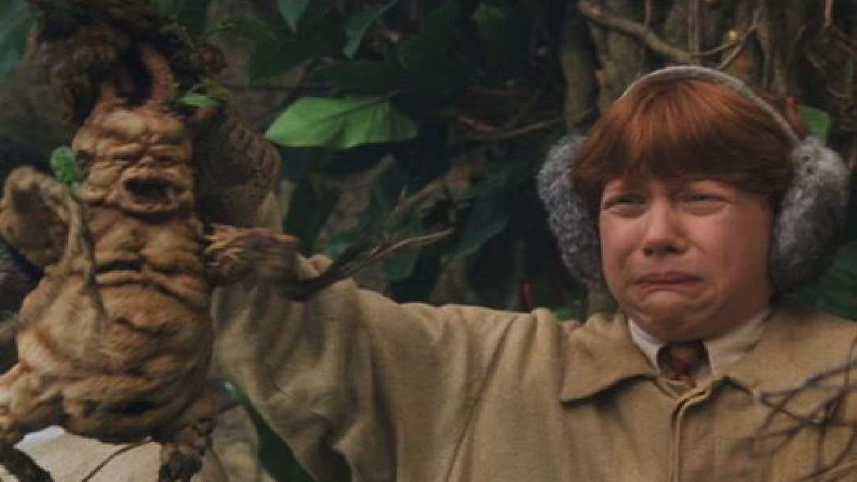 Hasat zamanı gelen bitkiler çığlık çığlığa kalıyor! Bilimsel olarak kanıtlandı! Herkes şaştı kaldı