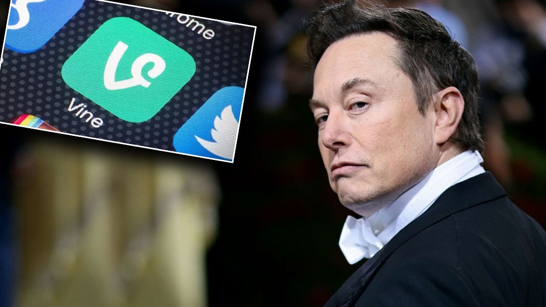 Elon Musk Sordu Sosyal Medya Ikiye Ayrıldı: Vine Geri Mi Geliyor?