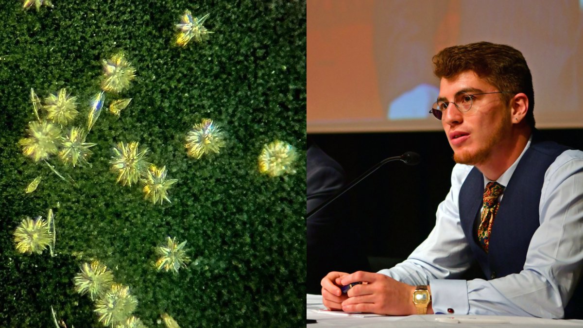 Türk fizikçi Furkan Öztürk'e Harvard'dan ödül: 175 yıldır çözülemeyen gizemi çözdü