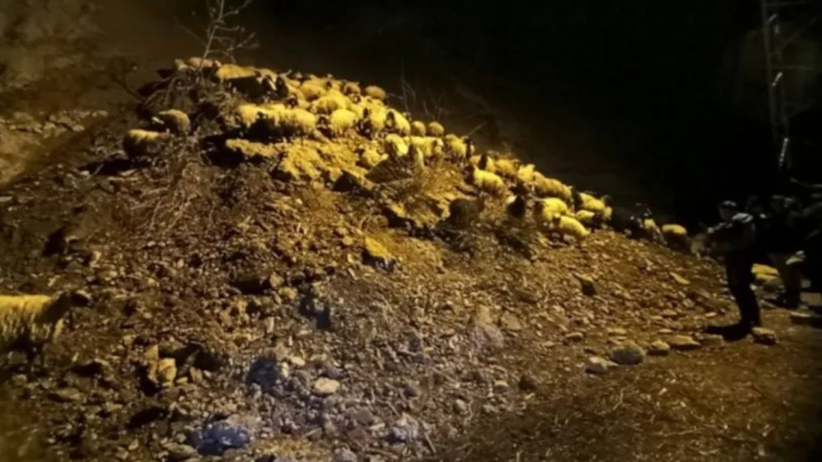 Hakkari'de heyelan: Küçükbaş hayvanlar toprak altında kaldı