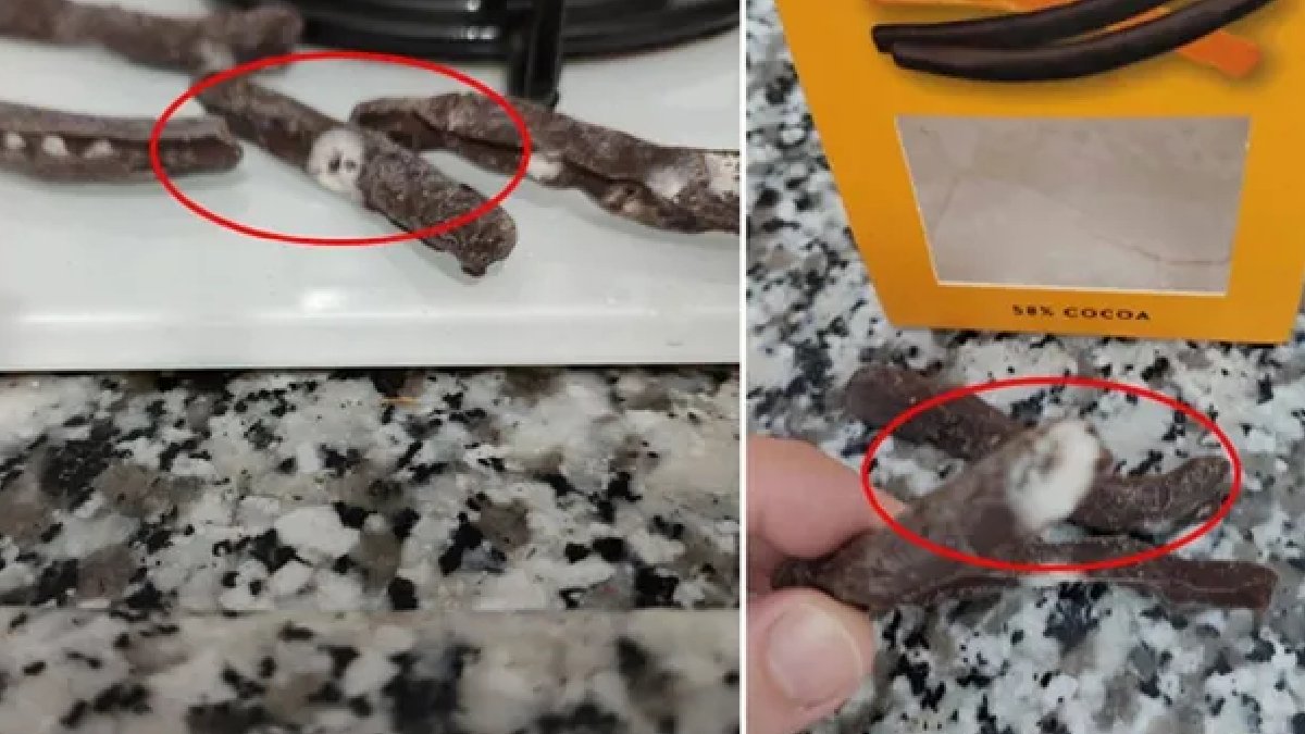 Küflenmiş çikolata paylaşan tüketiciye CEO'dan şaşırtan cevap: Karşında biz ve dev Migros var