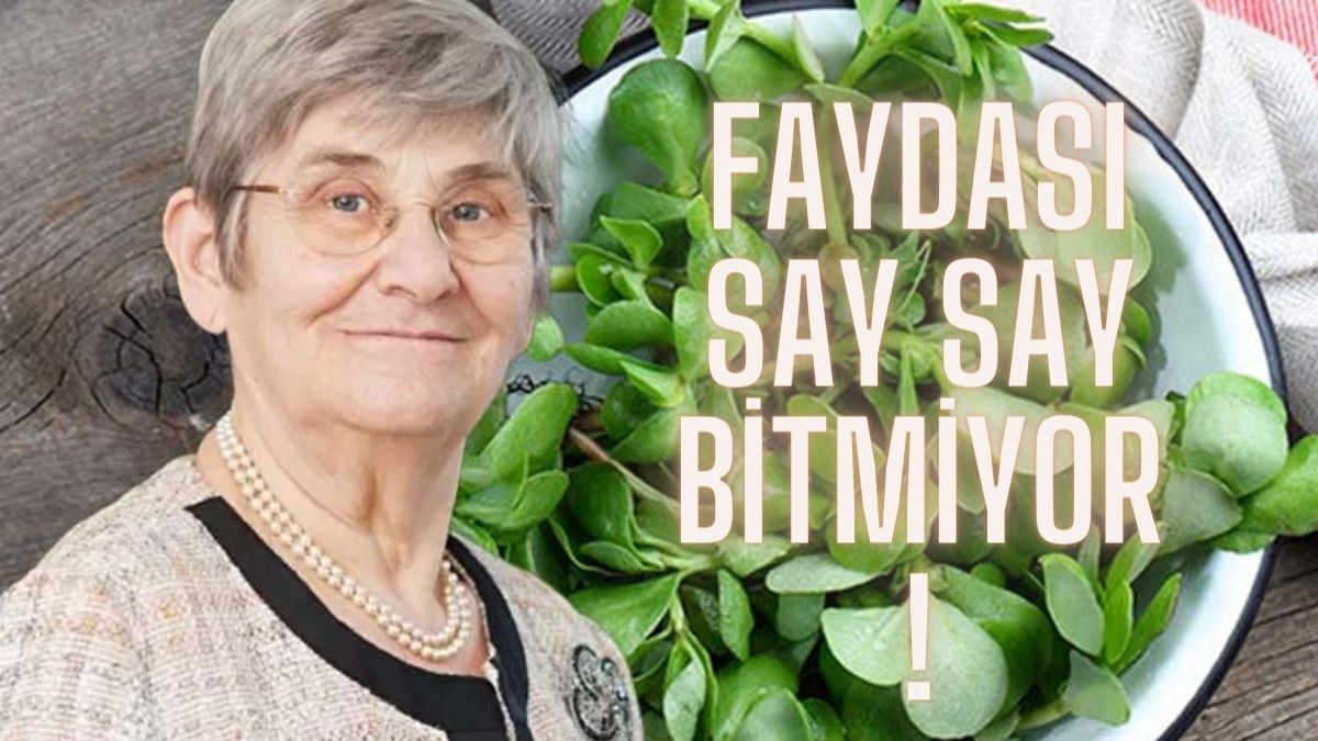 Canan Karatay şiddetle tavsiye etti! İster yemeğini yapın ister salatasını: Faydası saymakla bitmiyor