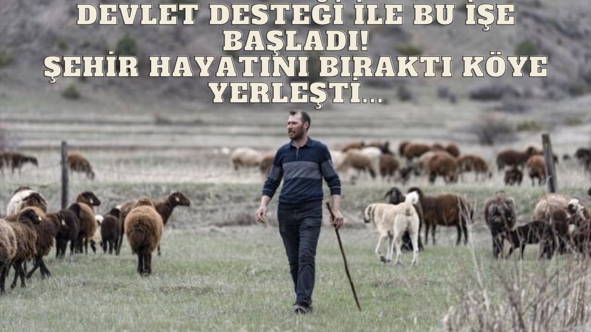 Büyüklerini dinleyip Erzurum'daki dedesinden kalma evine döndü destekle 100 koyun