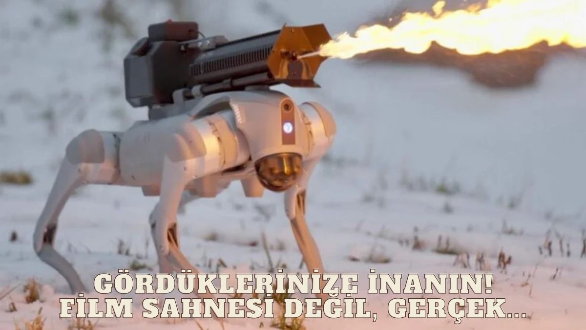 Bilim kurgu filminden değil gerçek! Robot köpek Thermonator satışta: 10 metreye kadar ateş püskürtebiliyor