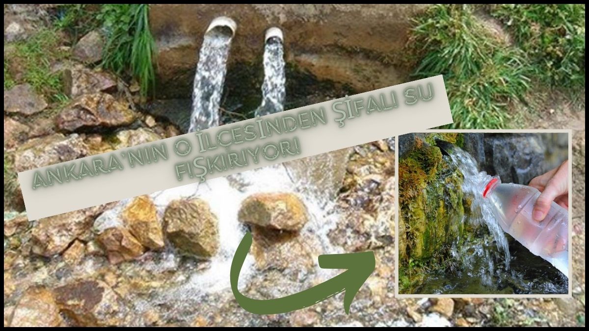 Asırlardır şifa amacıyla kullanılıyor! Ankara’nın o ilçesinden şifalı su fışkırıyor: Bilimsel araştırmalar yapıldı, işte adresi