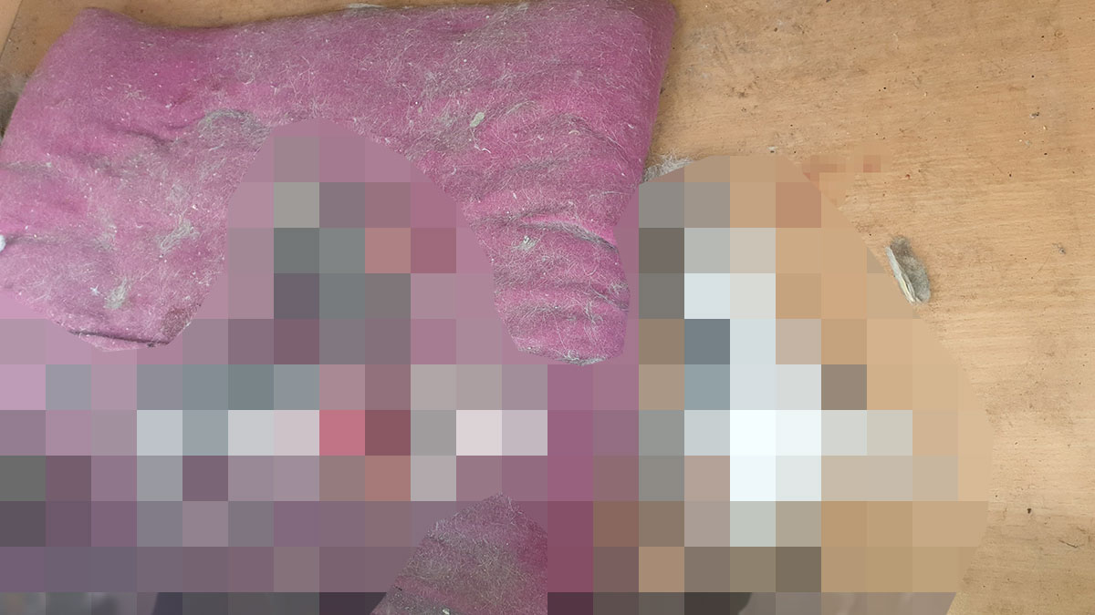 Sokaktaki kanepenin içinde kan donduran manzara! Kafaları ve elleri kesilmiş