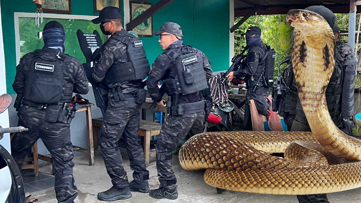 Polise yakalanacağını anlayınca kendini zehirli yılana ısırtıp öldü! İlginç intiharın nedeni 'Pes' dedirtti