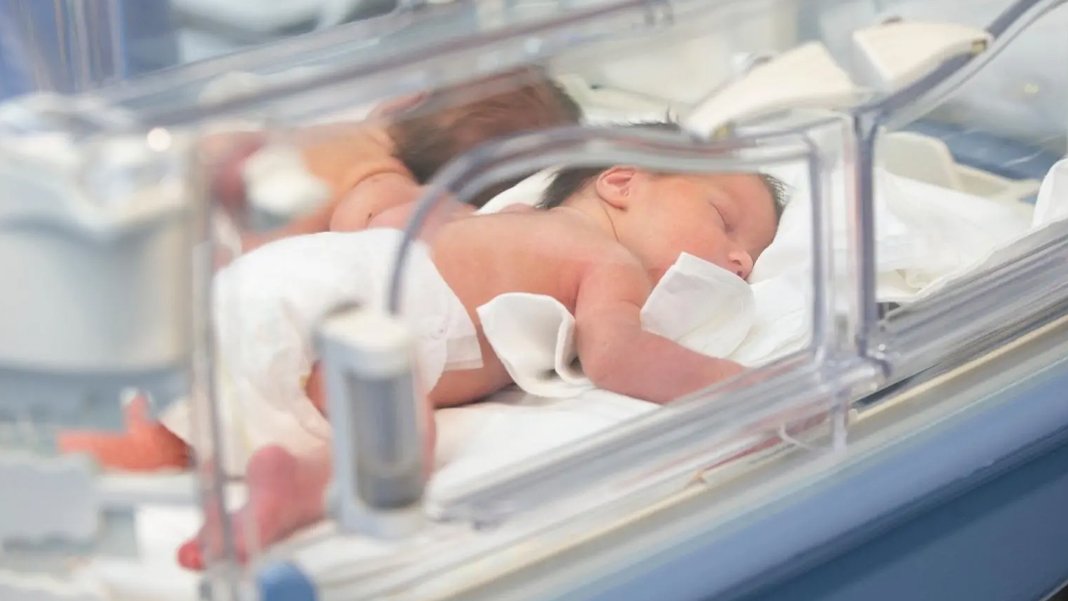 1 Milyar liralık yenidoğan dolandırıcılığı: Doktor imza attığı sırada eğlence mekanındaymış