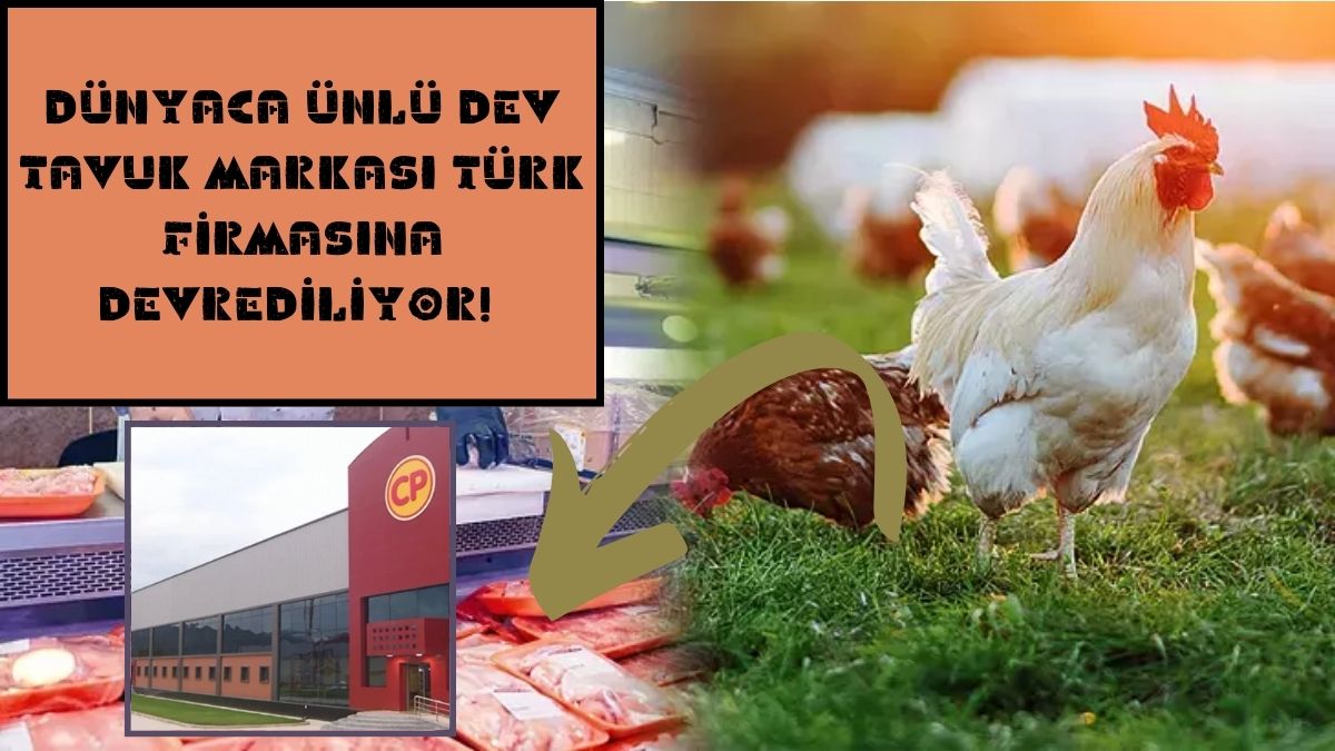 Dünyaca ünlü dev tavuk markası Türk firmasına devrediliyor! O ülkenin en zengin adamının şirketiydi