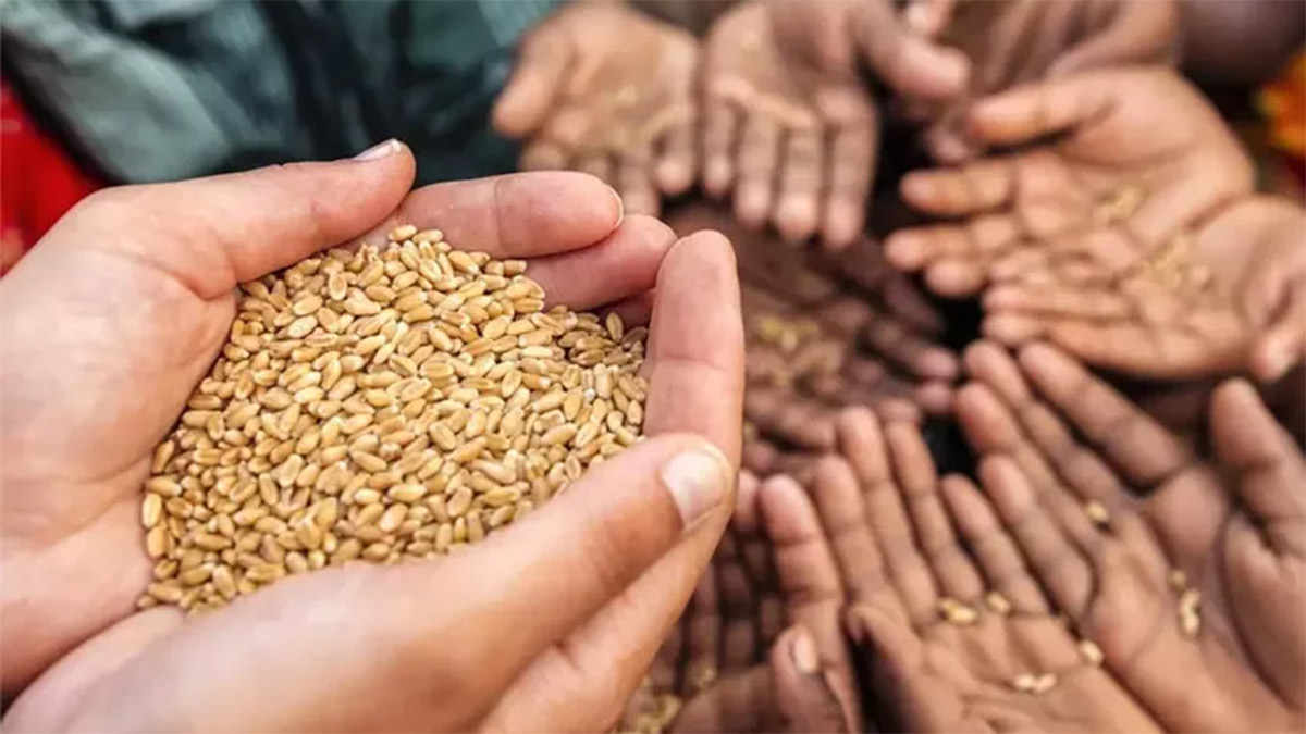 İnsan ve toplumun gerekli basamağı: Zekât-vergi ilişkisi