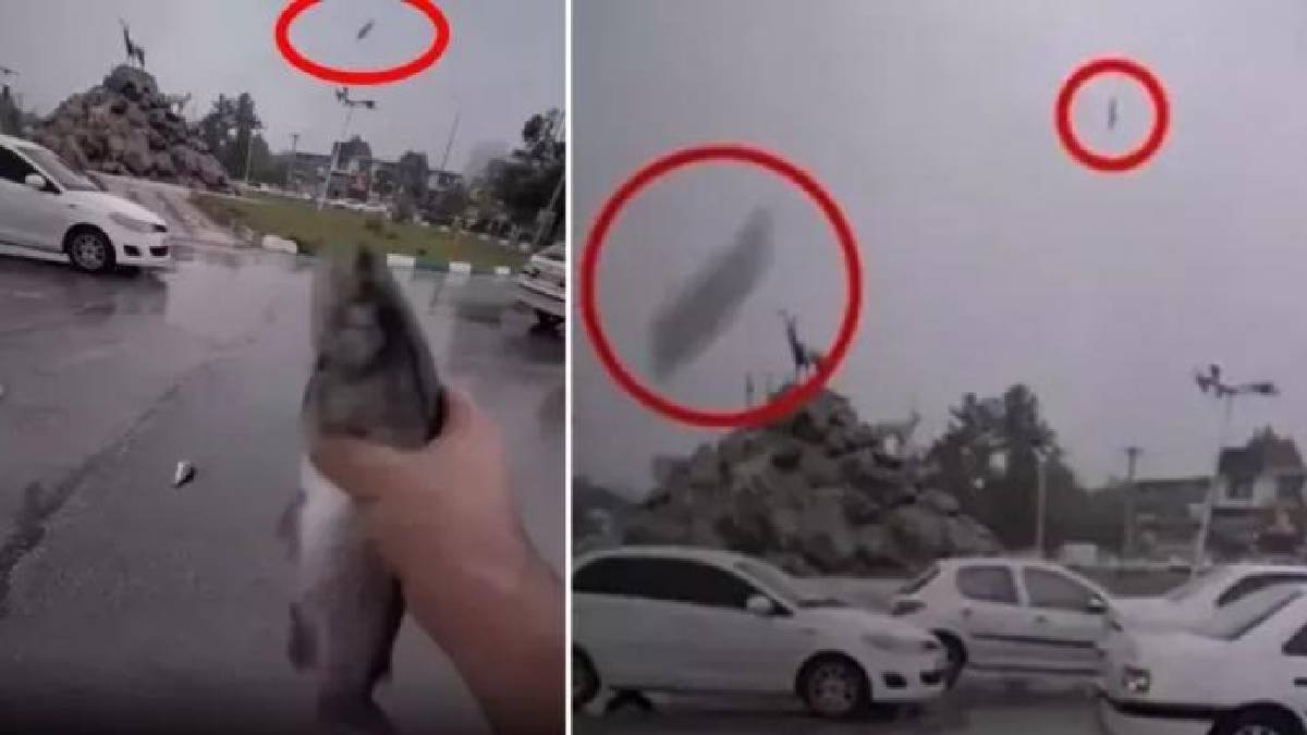 Gökten yağmur değil şakır şakır balık yağdı! Herkesi hayrete düşüren görüntüler: Arabalardan inip topladılar