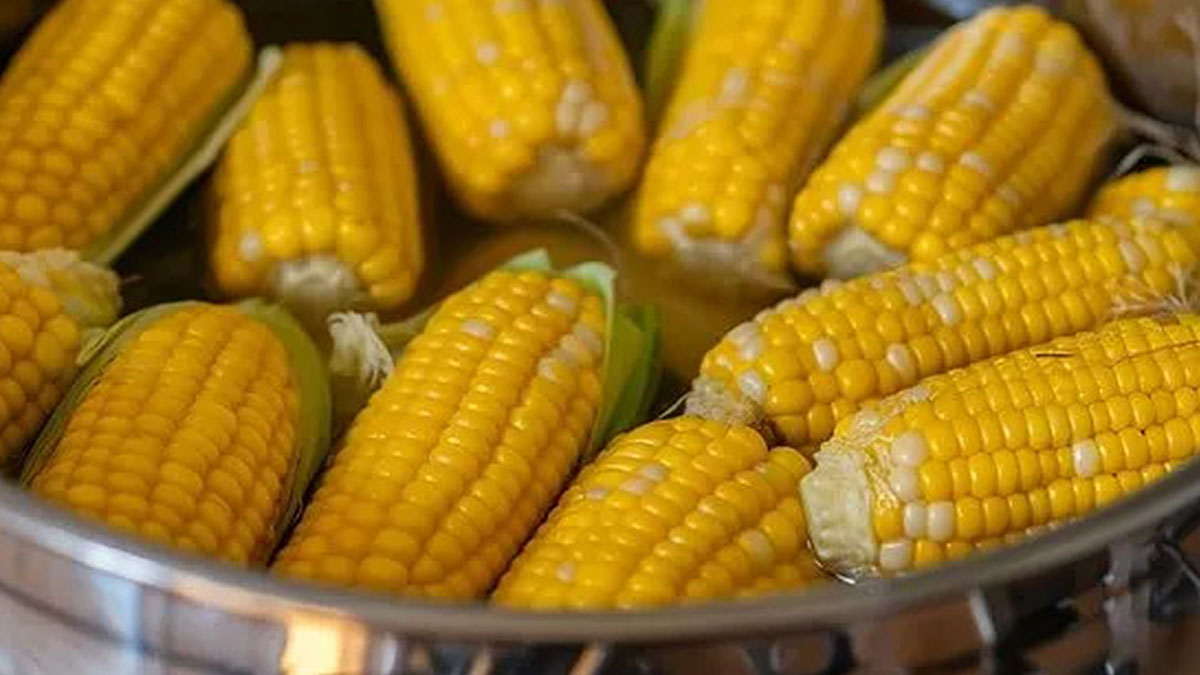 Evde sokak usulü lezzetli sütlü mısır için tencereye bir bardak bundan ekleyin! Meğer lezzetin sırrı bu kadar kolaymış