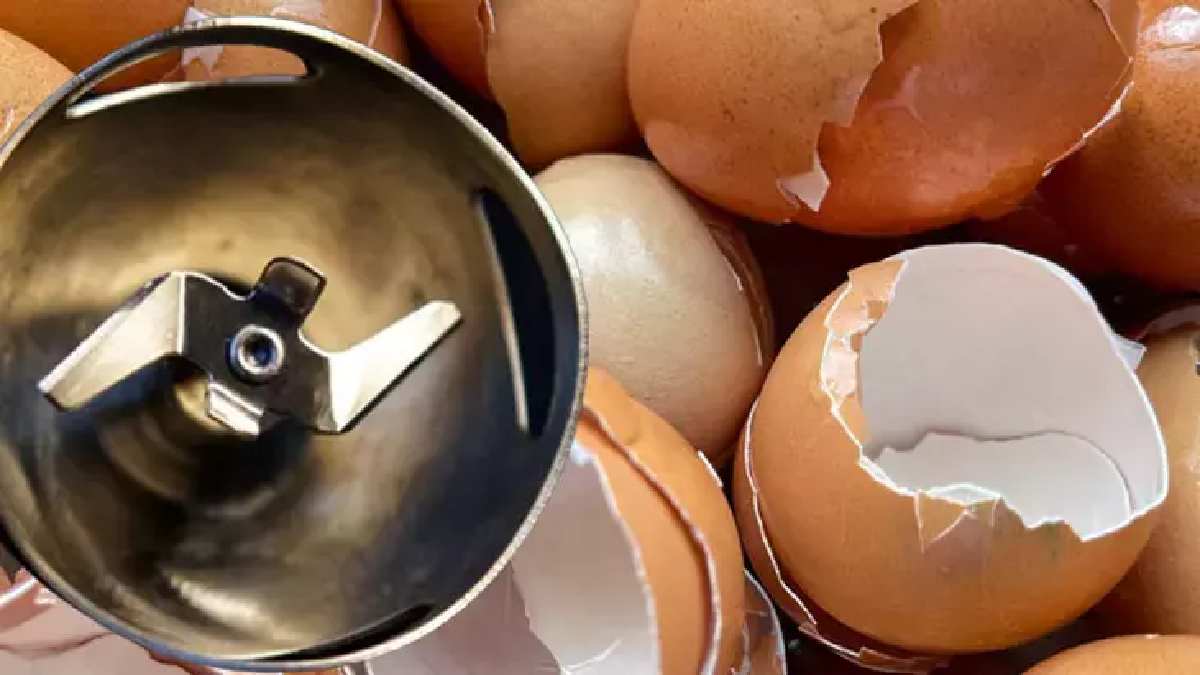 Keskinliğini kaybeden blendera yumurta şoku! Yöntem basit, uygulayan memnun…