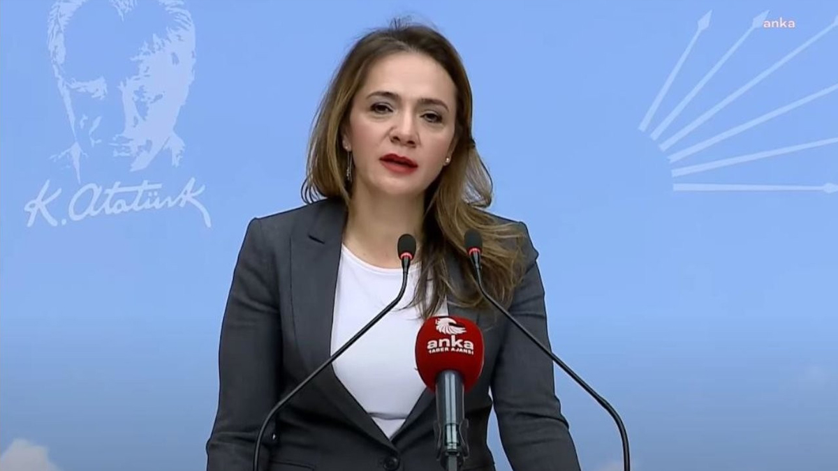 CHP'li Gamze Akkuş İlgezdi: Bakanlara araç alınabiliyorsa diyabetli çocuklara verilen sözler tutulabilir