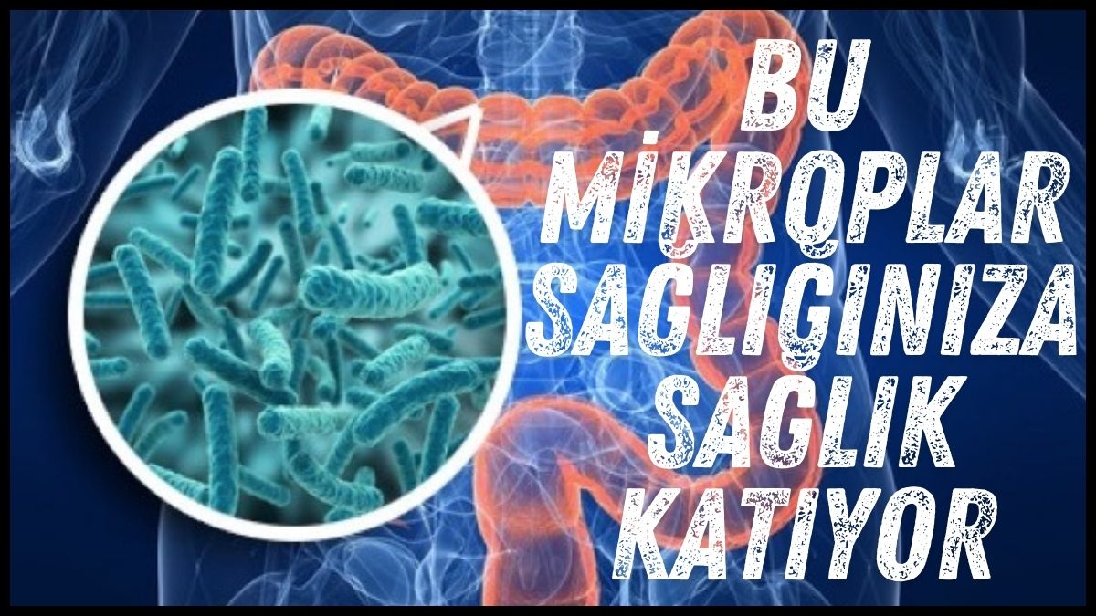 Bu mikroplar sağlığınıza sağlık katıyor: Sağlığınızın gizli kahramanı küçük canlıları nasıl koruyabilirsiniz?