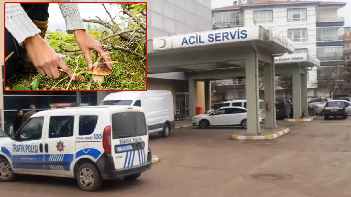 Başkent'te kadın cinayeti: Mantar toplamak için evden çıktı, başından vuruldu