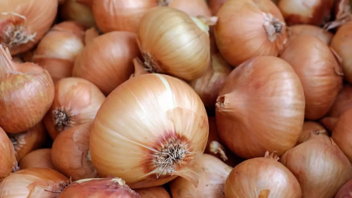 Sıcak havalarda daha çabuk bozuluyor! Soğanları bu yöntemle 6 ay saklayın: Küflenip yumuşamadan taş gibi kalıyor