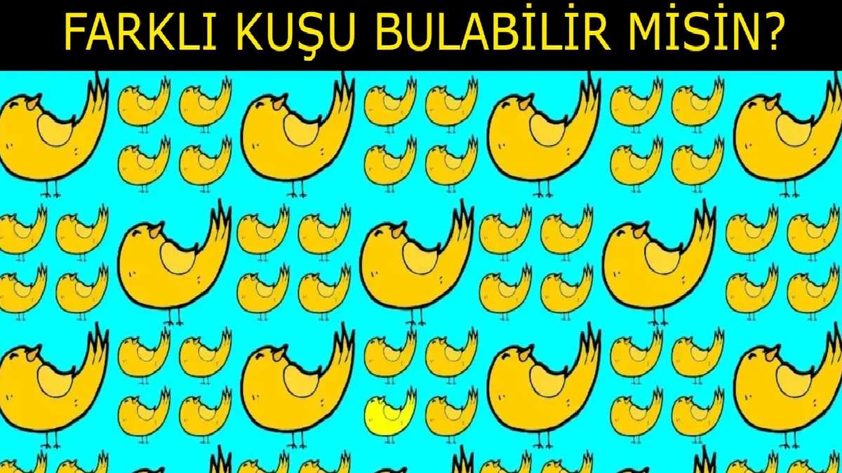 Hepsi birbirine benziyor, farklı kuşu sadece dahiler fark ediyor! 6 saniyede farklılığı anlayan yüksek IQ’sunu kanıtlıyor