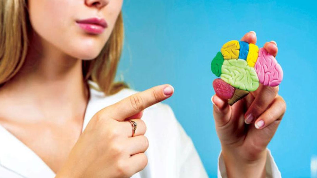 Google, insan beyninin iç yapısını haritalandırdı! Nörolojik hastalıkların tedavisine yardımcı olacak