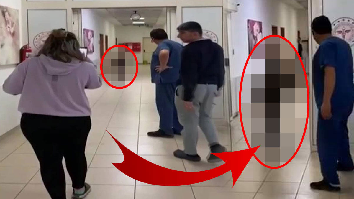 Hastanenin acil servisine gelen hayvan, görenleri hayrete düşürdü! Kimisi kahkaha attı, kimisi usulca uzaklaştı