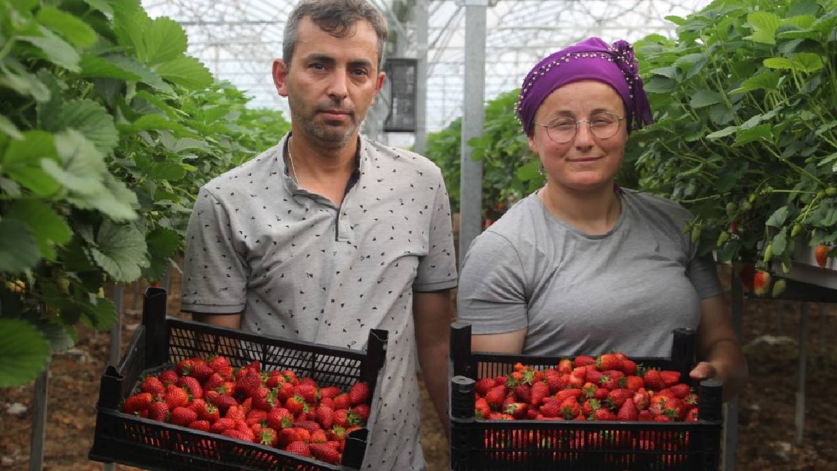 Bu iş için öğretmenliği bıraktı şimdi 5 milyon kazanıyor! Öğretmen Özge artık paraya para demiyor