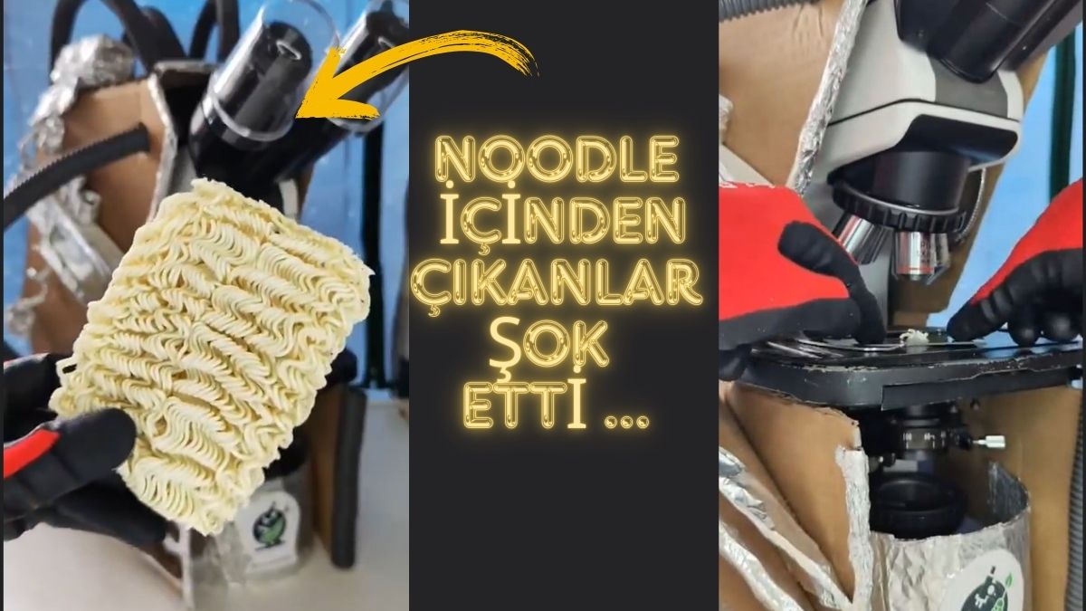 Noodle sevenler yerken on kez düşünün! Mikroskopla incelediler... İçinden çıkanlar mide bulandırdı