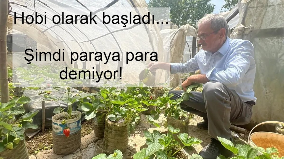 Emekli maaşıyla geçinemeyen Satılmış şimdi paraya para demiyor! Hobi olarak başladığı o iş ekmek teknesi oldu