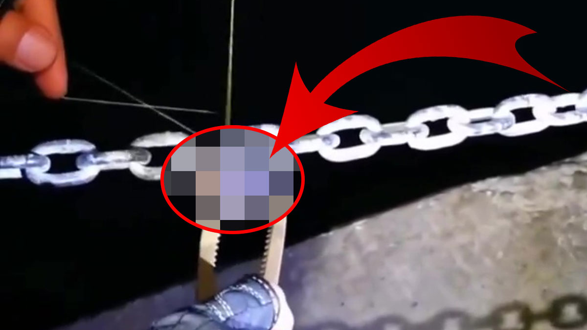 Balık tuttuğunu zannetti, oltayı çekince şoke oldu! Havada uçan hayvan, oltaya takıldı