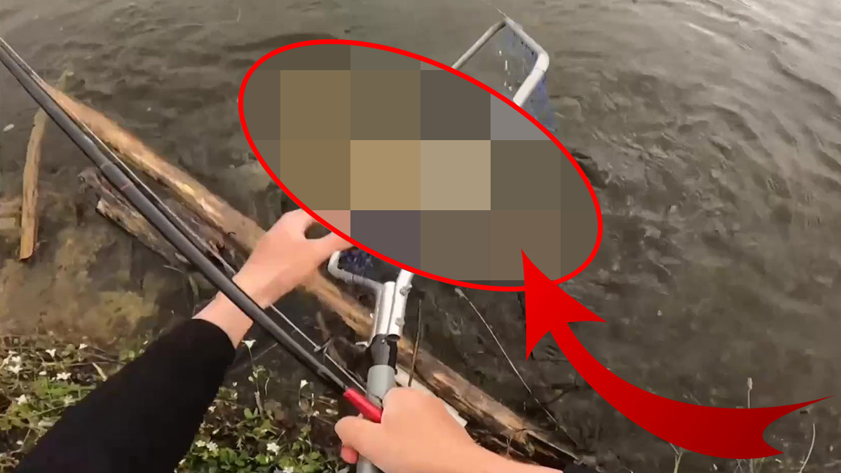 Yakaladığı balığa kendisi de şaştı kaldı! Böylesi ender görülür, amatör balıkçının acemi şansı